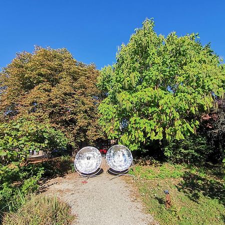 Saint-Usuge Ecolieu Le Chant Du Temps Bed & Breakfast エクステリア 写真