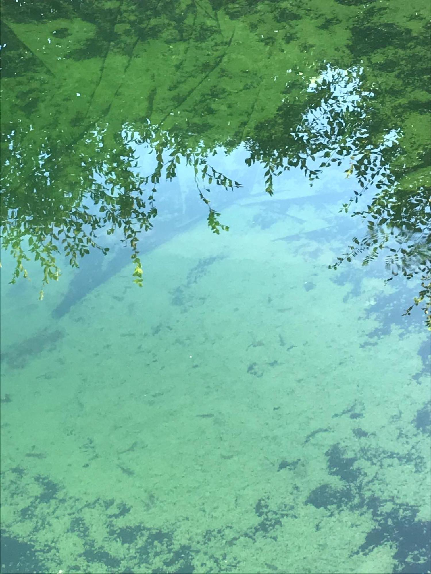 Saint-Usuge Ecolieu Le Chant Du Temps Bed & Breakfast エクステリア 写真